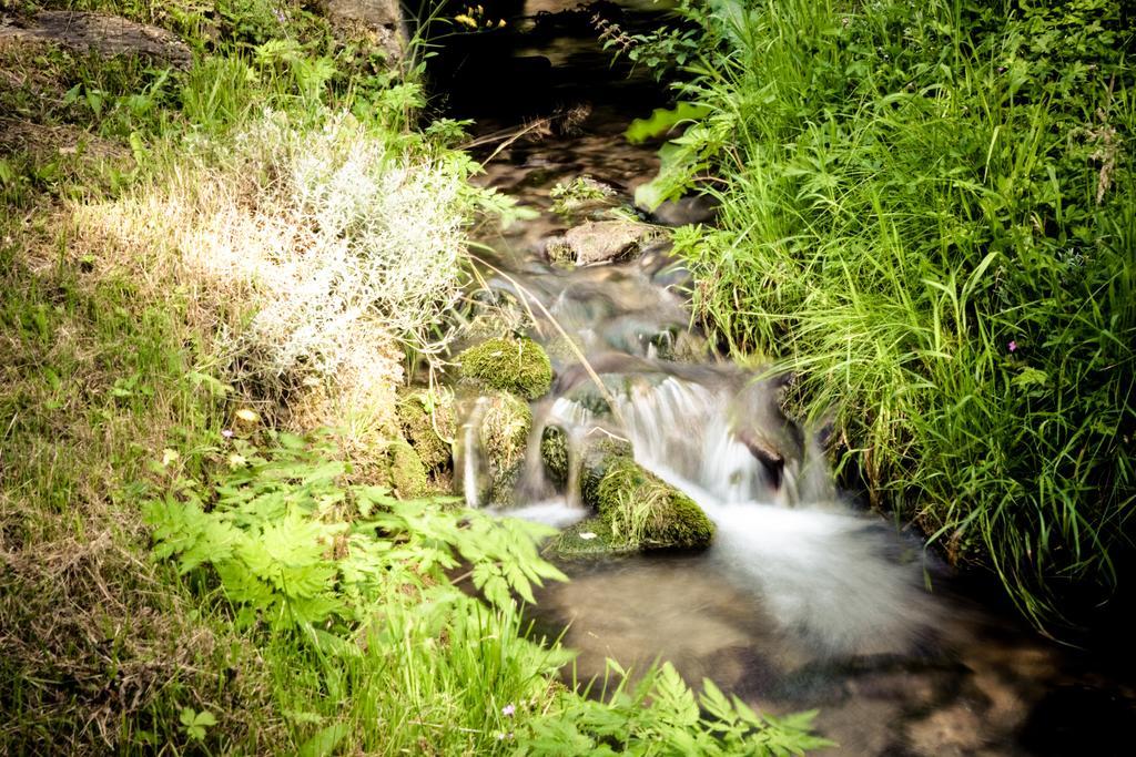 Auberge Du Moulin De Lere Vailly ภายนอก รูปภาพ